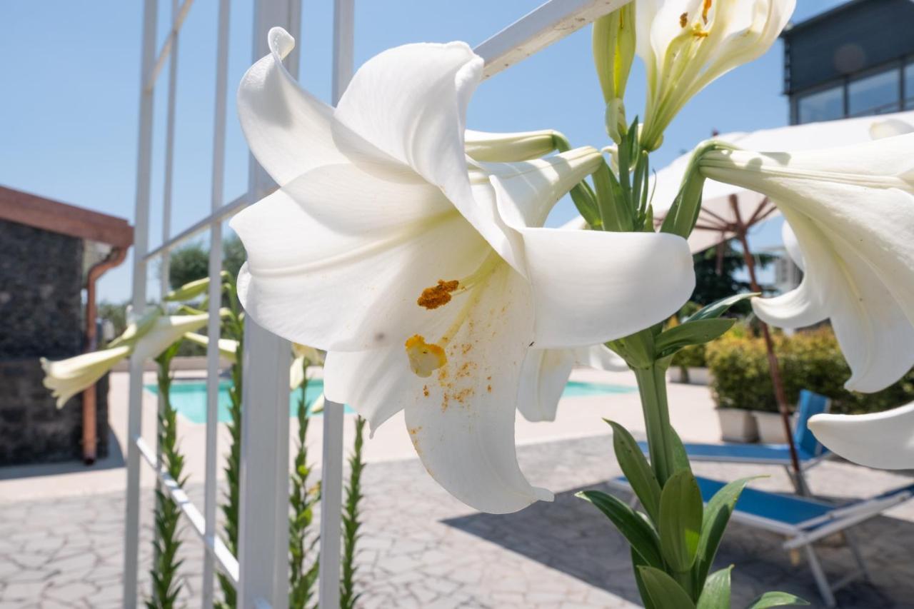 Lux Suite Sicily Mascalucia Luaran gambar